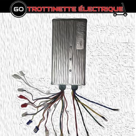 DUALTRON SPIDER • CONTROLEUR (V2) - Pièces détachées Trottinette électrique  - Go Trottinette Electrique