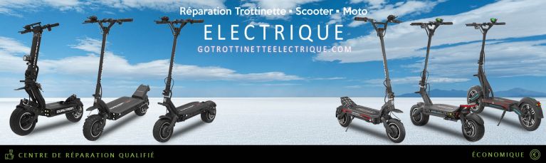 ALLEZ SOLIDE ! ® Chargeur adapté pour scooter électrique Guardo